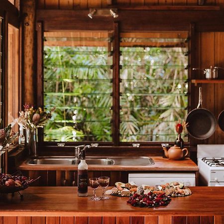 The Canopy Rainforest Treehouses & Wildlife Sanctuary Tarzali Extérieur photo
