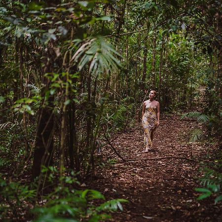 The Canopy Rainforest Treehouses & Wildlife Sanctuary Tarzali Extérieur photo