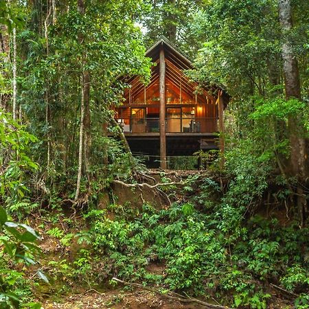 The Canopy Rainforest Treehouses & Wildlife Sanctuary Tarzali Extérieur photo