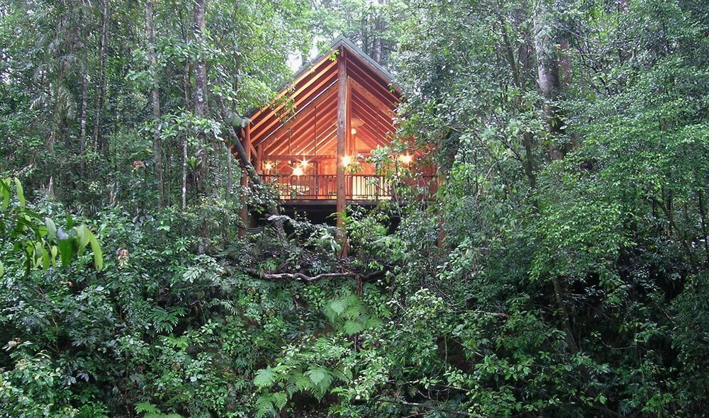 The Canopy Rainforest Treehouses & Wildlife Sanctuary Tarzali Extérieur photo