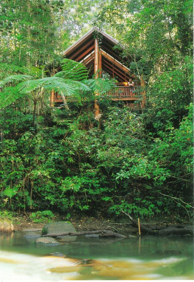 The Canopy Rainforest Treehouses & Wildlife Sanctuary Tarzali Extérieur photo