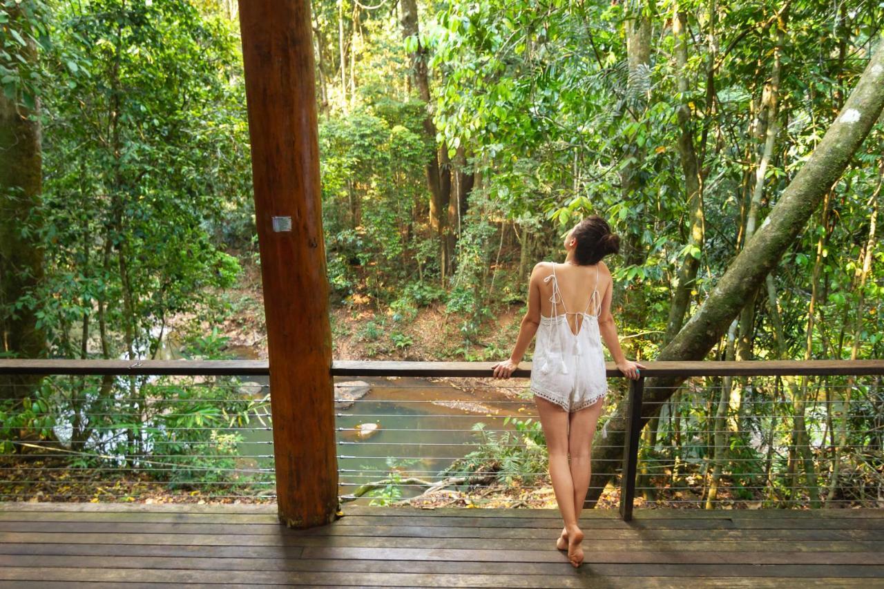 The Canopy Rainforest Treehouses & Wildlife Sanctuary Tarzali Extérieur photo