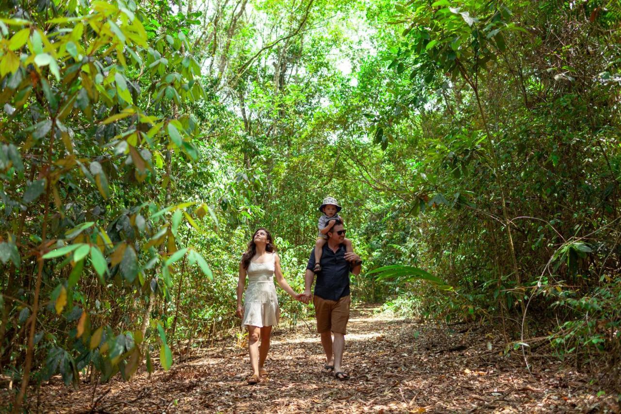 The Canopy Rainforest Treehouses & Wildlife Sanctuary Tarzali Extérieur photo
