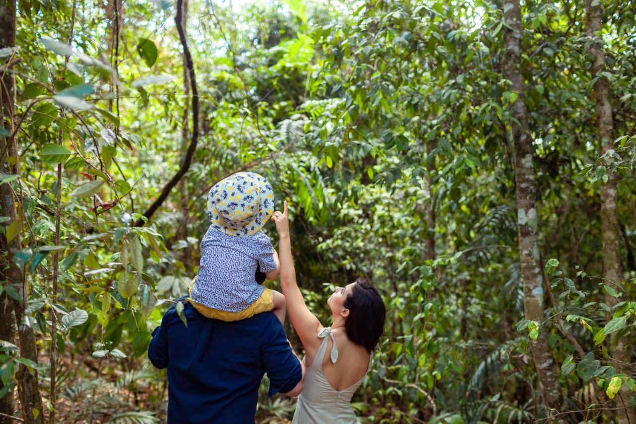 The Canopy Rainforest Treehouses & Wildlife Sanctuary Tarzali Extérieur photo