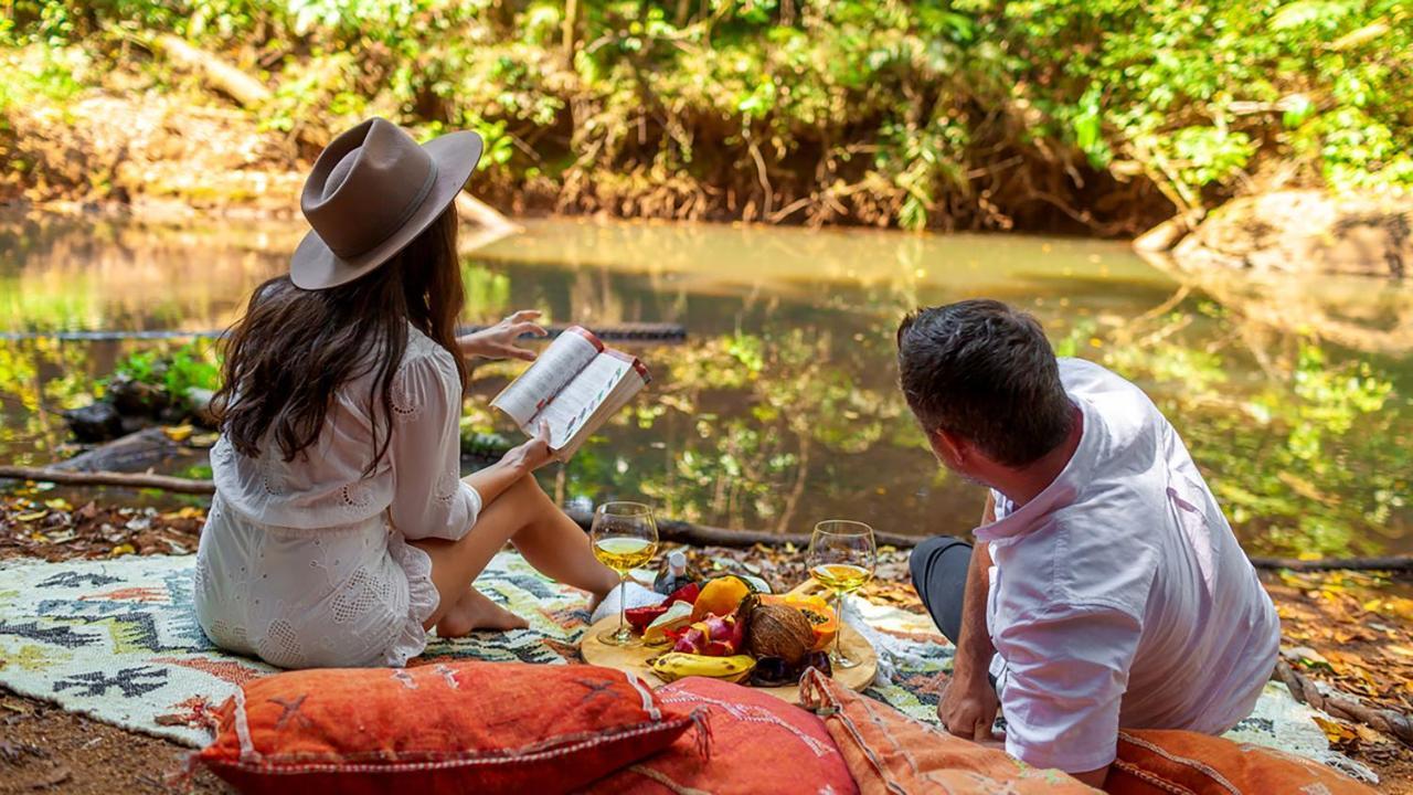 The Canopy Rainforest Treehouses & Wildlife Sanctuary Tarzali Extérieur photo