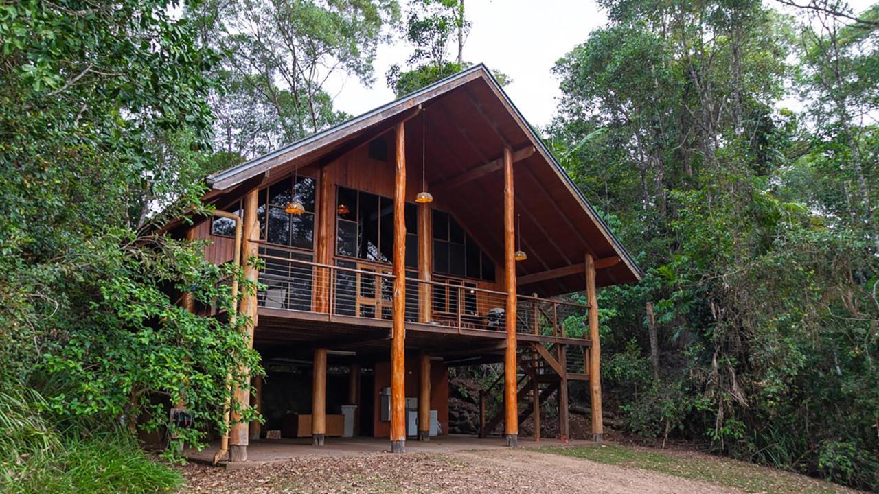 The Canopy Rainforest Treehouses & Wildlife Sanctuary Tarzali Extérieur photo