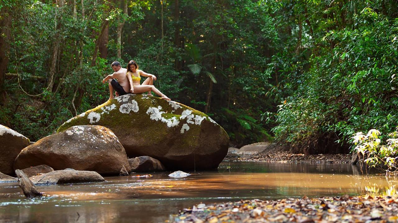 The Canopy Rainforest Treehouses & Wildlife Sanctuary Tarzali Extérieur photo