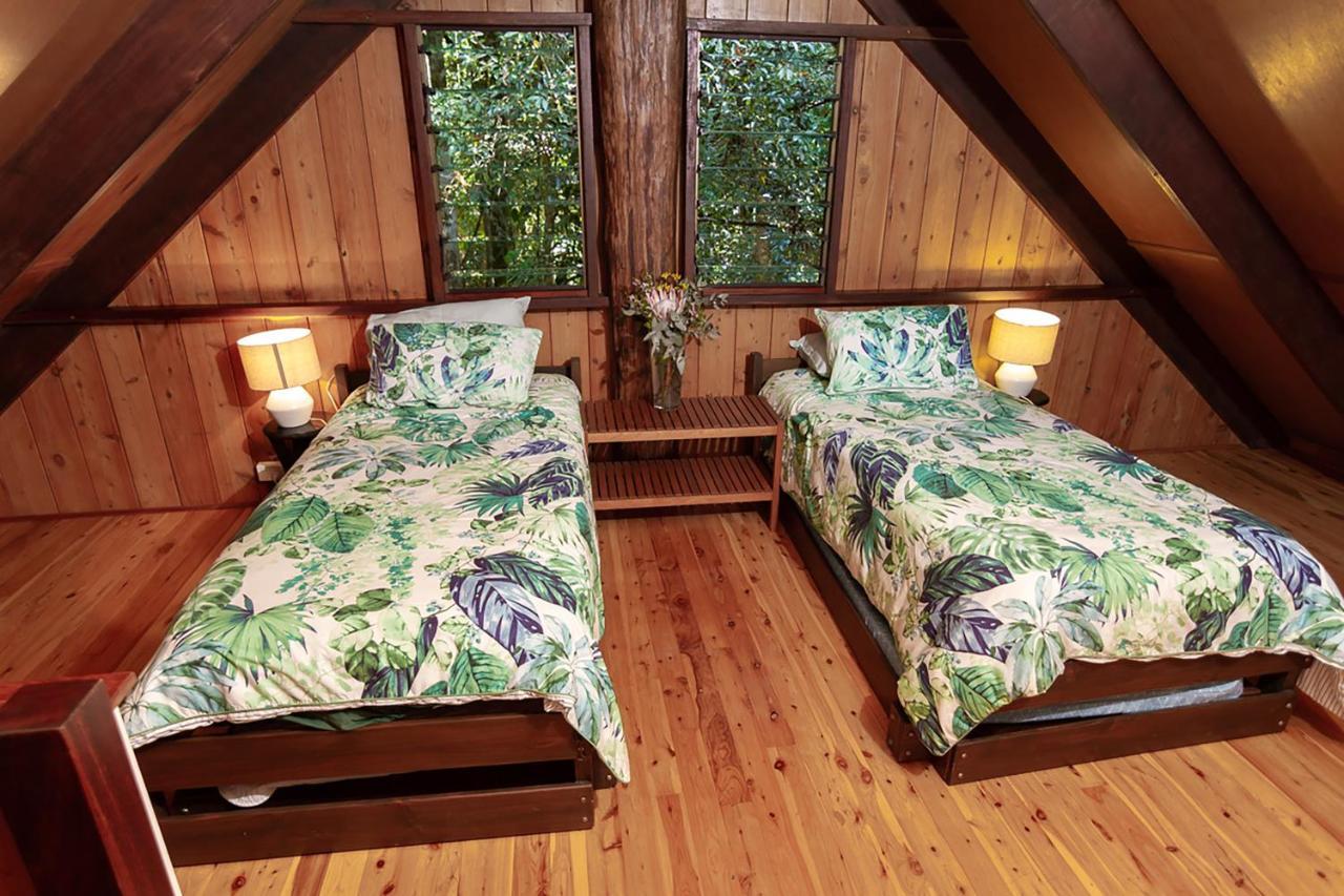 The Canopy Rainforest Treehouses & Wildlife Sanctuary Tarzali Extérieur photo